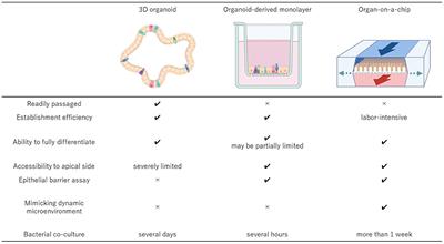 Farm and Companion Animal Organoid Models in Translational Research: A Powerful Tool to Bridge the Gap Between Mice and Humans